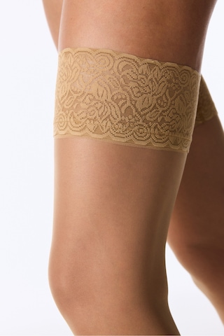 Penti Premier Hold Ups Jartiyer