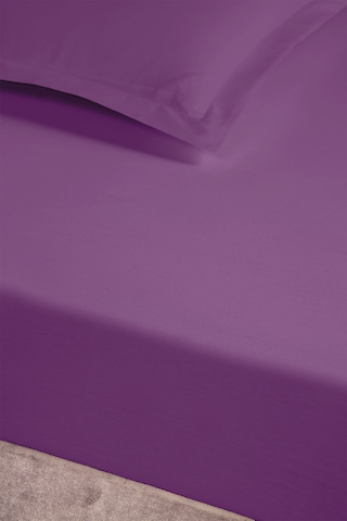 Pierre Cardin Pamuk Saten Lastikli Çarşaf 120x200 Mürdüm