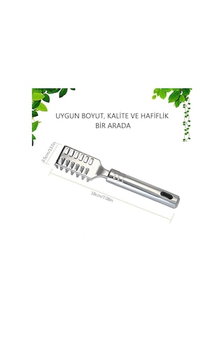 MSO Paslanmaz Çelik Balık Pulu Temizleme Aparatı