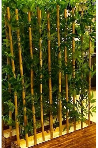 Yapay Bambu Ağaç Ağacı 1 Metre Boy Çam Ağacı Lambiri Saksıda