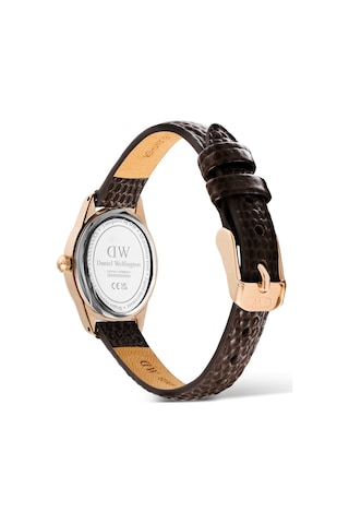 Daniel Wellington Dw00600894 Kadın Kol Saati Diğer