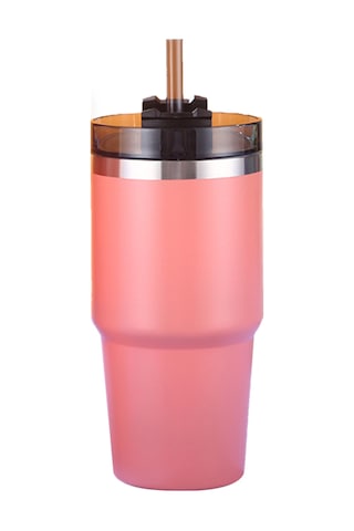 Hangfox 304 Paslanmaz Çelik Isı Saklama Bardak, 20oz, Pipetli Kapaklı, 6-12 Saat Sıcak/soğuk Tutar, Araçta/kahve/sokak Kullanıma Uygun