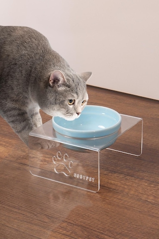 Tekli Seramik Dekoratif Kedi Ve Köpek Pleksi Mama & Su Kabı Kedi Paspası