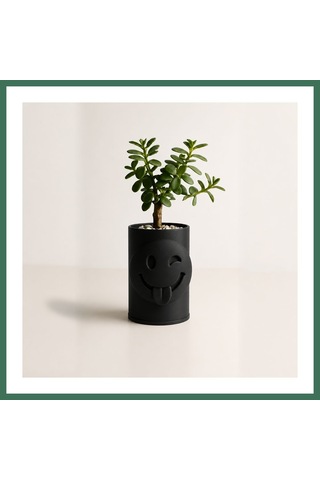 En-cag 3d Baskı Emoji Planter - Göz Kırpan Yüzlü Sukulent Saksısı-siyah Bss Standart