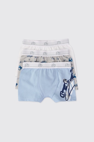 Panço Erkek Çocuk 3'lü Boxer Set 2612bk14001 Renkli