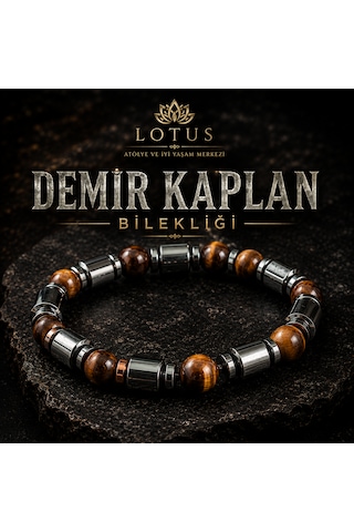 Demir Kaplan Bilekliği Kaplan Gözü, Boru Hematit & Disk Hematit
