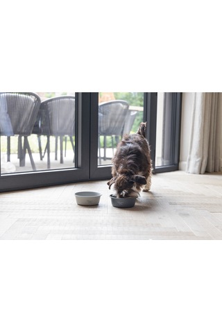 Beeztees Dbl Köpek Mama Su Kabı, Mat Gri Paslanmaz Çelik, 16cm, 940ml