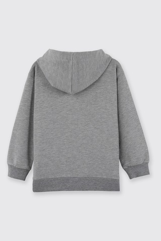 Panço Erkek Çocuk Kapüşonlu Fermuarlı Gri-melanj Sweatshirt