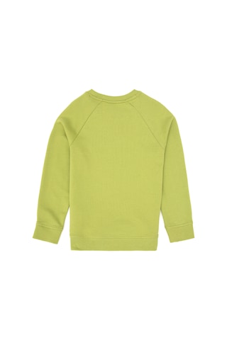 U.S. Polo Assn. Erkek Çocuk Fıstık Yeşili Basic Bisiklet Yaka Sweatshirt 50313832-VR087