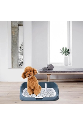 Homyl Yıkanabilir Pet Eğitim Tuvalet Tepsisi Açık-mavi
