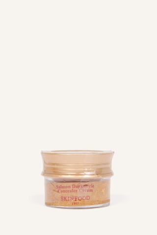Skinfood Salmon Concealer Kapatıcı Krem 02 10 G