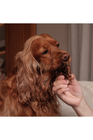 Kito Dana Akciğer Küp Atıştırmalık Doğal Glutensiz Organik Köpek Ödül Maması 100 G