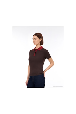 Yargıcı Regular Polo Yaka Kısa Kol Kazak 26kktr2134x 003 Kahverengi