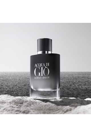 Giorgio Armani Acqua Di Gio Erkek Parfüm 100 ML
