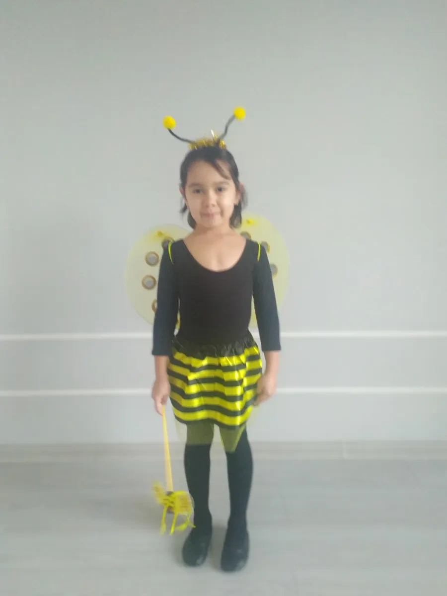 Bez Brenda Karnaval Kostümü: Arılar 277850061