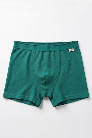 Just Inner Erkek Pamuklu Boxer Pike Kumaş Ergonomik Tasarım 137001 Yeşil