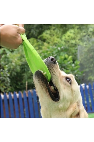 10 Adet Silikon Frizbi Köpek Oyuncağı 17.5 Cm