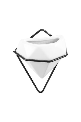 1 Adet Duvara Asılan Etli Saksı