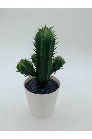 Ikea Fejka Kaktüs, 14 Cm, Mini Saksılı Yapay Kaktüs Bitki Çok Renkli