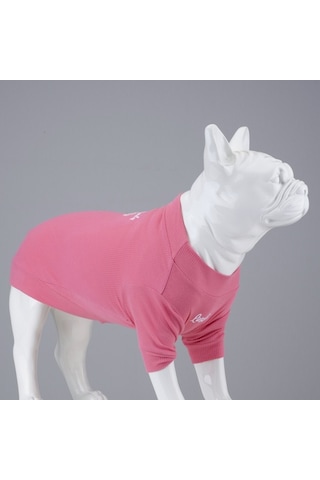 Flex Cotton Candy Küçük Ve Orta Irk Köpek Tshirt