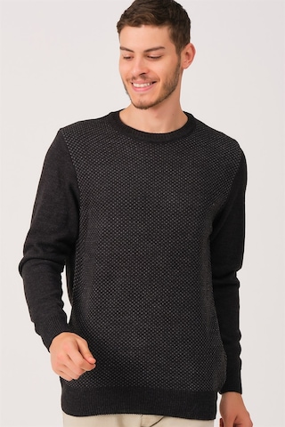 Dewberry V0213 Erkek Kazak Antrasit