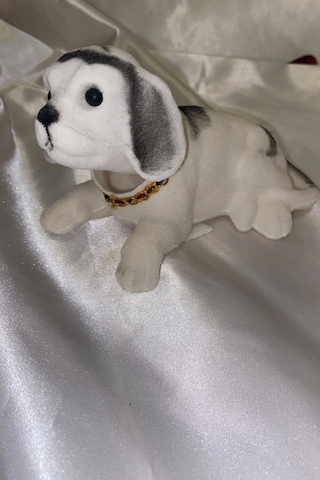 Golden Retriever Kafa Sallayan Köpek Başını Sallayan Köpek Sallanan Köpek Beyaz