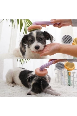 Büro Ev Evcil Hayvanı İçin Yeşil Plastik Çok Amaçlı Kedi Köpek Fırçası