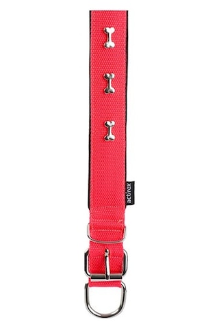 Actirex Neon Kemik Desenli Köpek Boyun Tasması Pembe M 2.5 x 37 - 45 CM Pembe