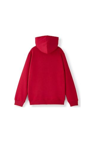 Gsstore Galatasaray Puma Çocuk Kapüşonlu Sweatshirt 78291424 Kırmızı