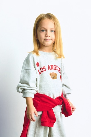 Defacto Regular Fit Bisiklet Yaka Baskılı Kalın Sweatshirt Kız Bebek I1707a526augr421 Gri-gr421