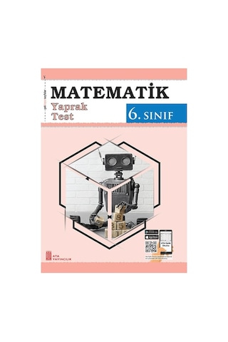6.sınıf Team Mate Practice Book + Combo Metematik Yaprak Test Hediyeli