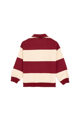 U.s. Polo Assn. Erkek Çocuk Sweatshirt 50308585-vr104 Koyu Frambuaz/dark Raspberry