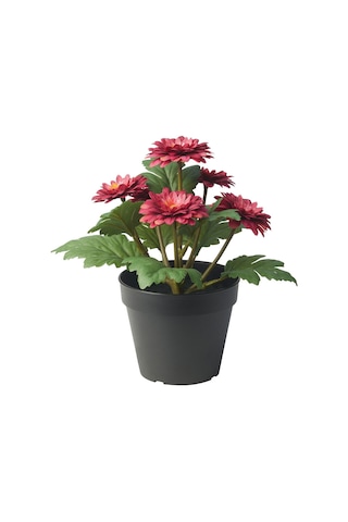 Yapay Bitki, Pembe-yeşil, 12 Cm, Krizantem 10 x 13.5 CM