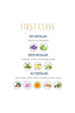 Fırst Class Edt, 100 Mililitre Diğer