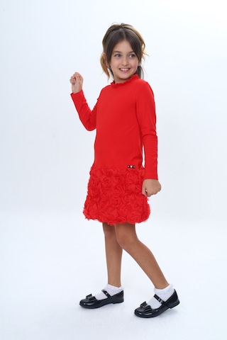 Toontoy Kız Çocuk Yaka Fırfır Etek 3d Güllü Elbise Kırmızı