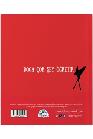 Kırlangıçtan Öğrendiklerim