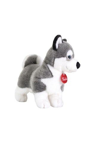 Trudi Husky Marcus M 22272 Çok Renkli