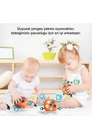 Yengeç Şekilli Montessori Duyusal Gözlem Beceri Geliştirme Eğitic