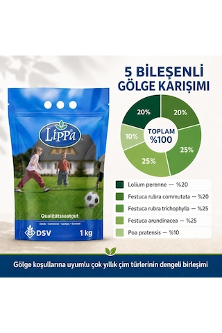 Lexroo Lippa Pro Shadow 5s Gölge Alan Çim Tohumu, Ağaç Altı Ve Yarı Gölge İçin 5 Bileşenli Karışım Standart