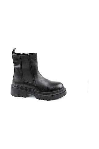 Dexter Tp22515-1 Renkli