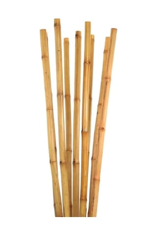 50 Adet Bambu Bitki Fidan Destek Çubuğu 190 - 200 Cm