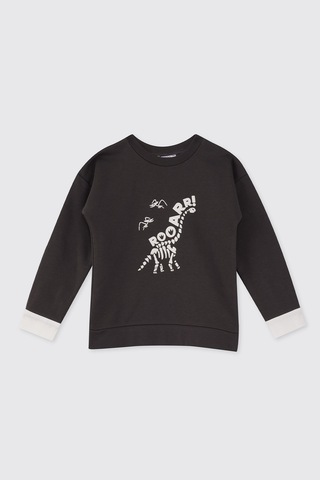 Panço Erkek Çocuk Dinozor Baskı Antrasit Sweatshirt Gri