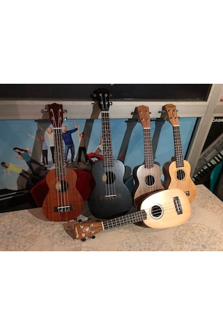 Concert Boy Maun Ağacı Siyah Renk Ukulele Gitar-Kılıflı