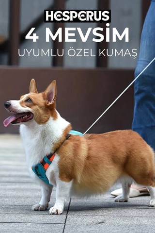 Hesperus Köpek Tasması Gövdelik Ve Göğüslük Otomatik Mavi-xs Mavi