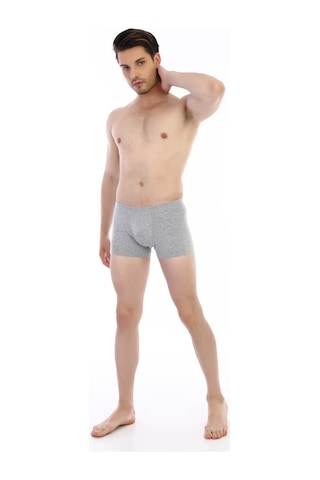 Çift Kaplan Erkek Elastanlı Gri Boxer 810 Gri