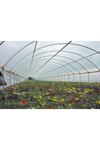 36 Aylık Sera Naylonu 360 Mikron Uv - Eva-ır-ao-ae Katkılı8 X10