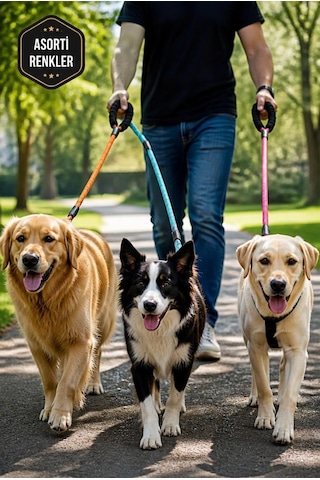 Reflektörlü Köpek Gezdirme Kayışı 150 Cm Dayanıklı Naylon Tasmalı, Yumuşak Saplı, Orta Ve Büyük Irk Köpekler İçin Güvenli Yürüyüş Tasması, Asorti Renk