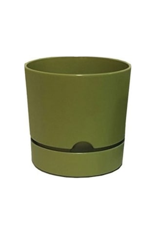 Polıwork Saksı Begonya 12 Cm Yosun Yeşili