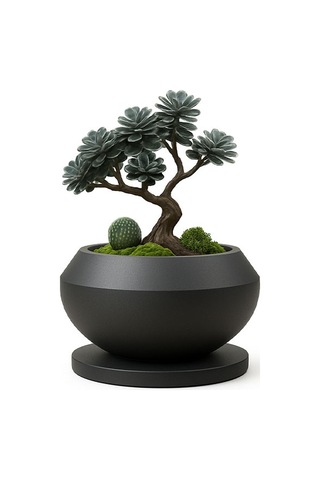 Dekoratif Bonsai Saksı