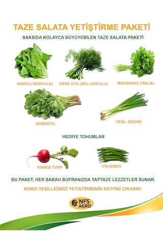 Sebze Tohumu - Taze Salata Yetiştirme Paketi 1 Adet